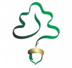 1000007390-removebg-preview - Wetsuits And Onesies